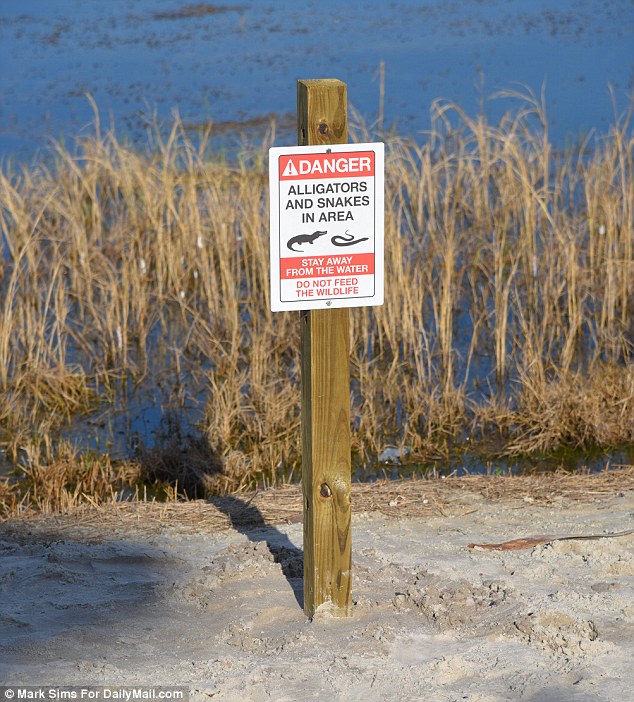 The new warning has already been installed on the beach after Disney World Resort closed all beaches in the wake of the horrific incident